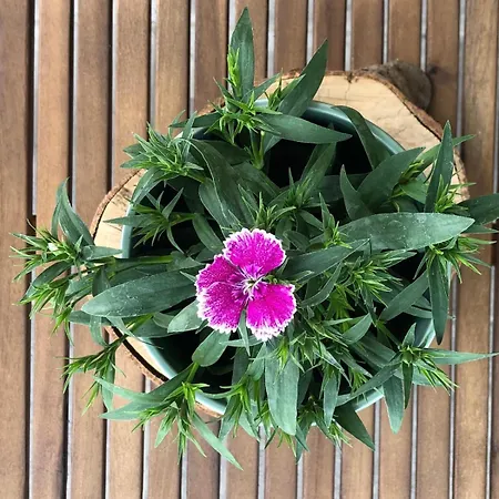 El Molino De La Canal Сasa de vacaciones *