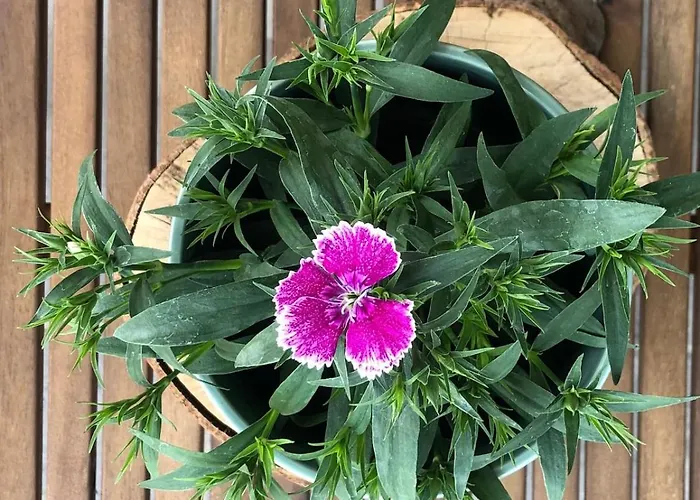 El Molino De La Canal Дом отдыха *